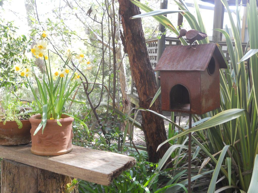 Astley Cottage Daylesford Phòng bức ảnh