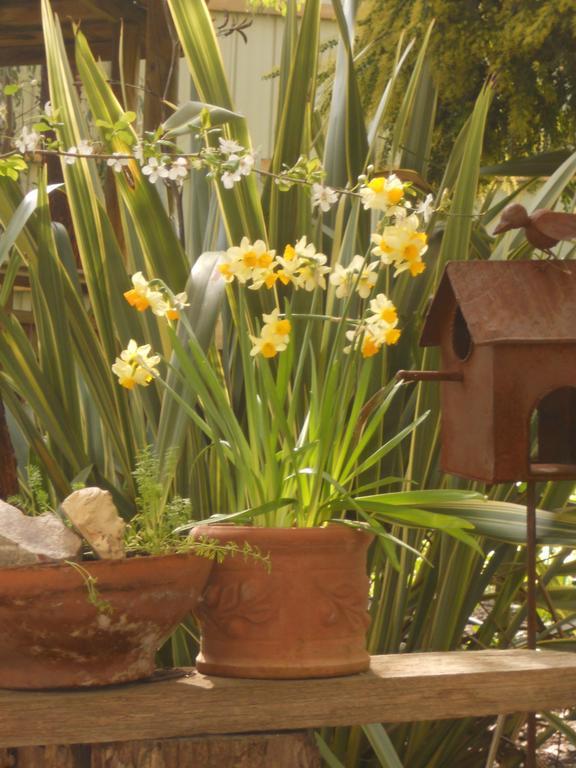 Astley Cottage Daylesford Ngoại thất bức ảnh