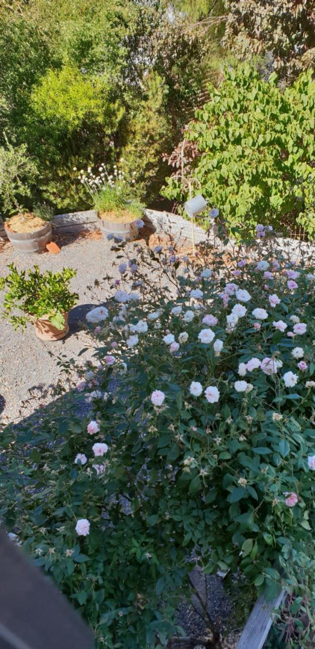 Astley Cottage Daylesford Ngoại thất bức ảnh