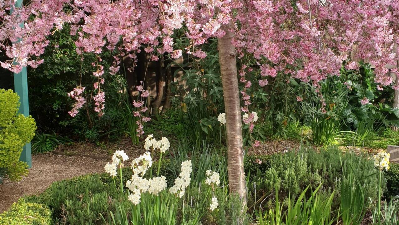 Astley Cottage Daylesford Ngoại thất bức ảnh